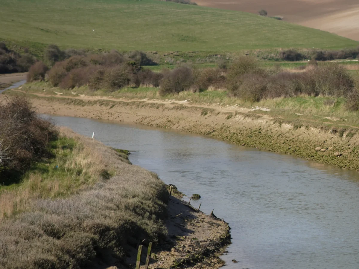 0521A307-1FE8-4BB0-AC05-199C9061110D-scaled 0521A307-1FE8-4BB0-AC05-199C9061110D-scaled