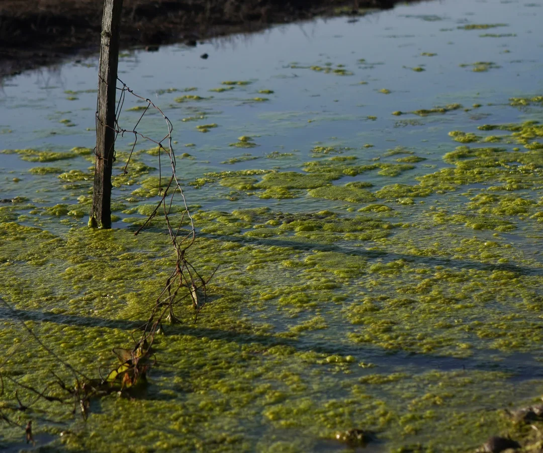 157CC7E3-A1F4-4B1F-955E-FB17618C644B-2 157CC7E3-A1F4-4B1F-955E-FB17618C644B-2