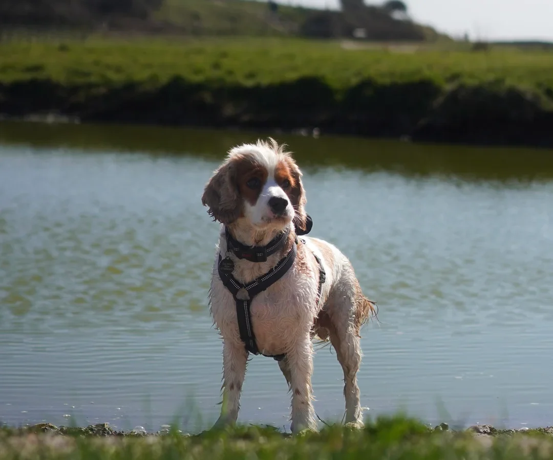 33B60929-DDF1-4F5C-BF63-D743EAD382A5 33B60929-DDF1-4F5C-BF63-D743EAD382A5