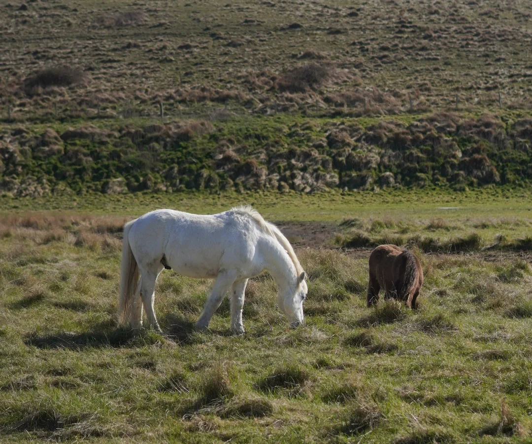 788E4390-5CD7-4556-A8F7-37E9389378BE 788E4390-5CD7-4556-A8F7-37E9389378BE