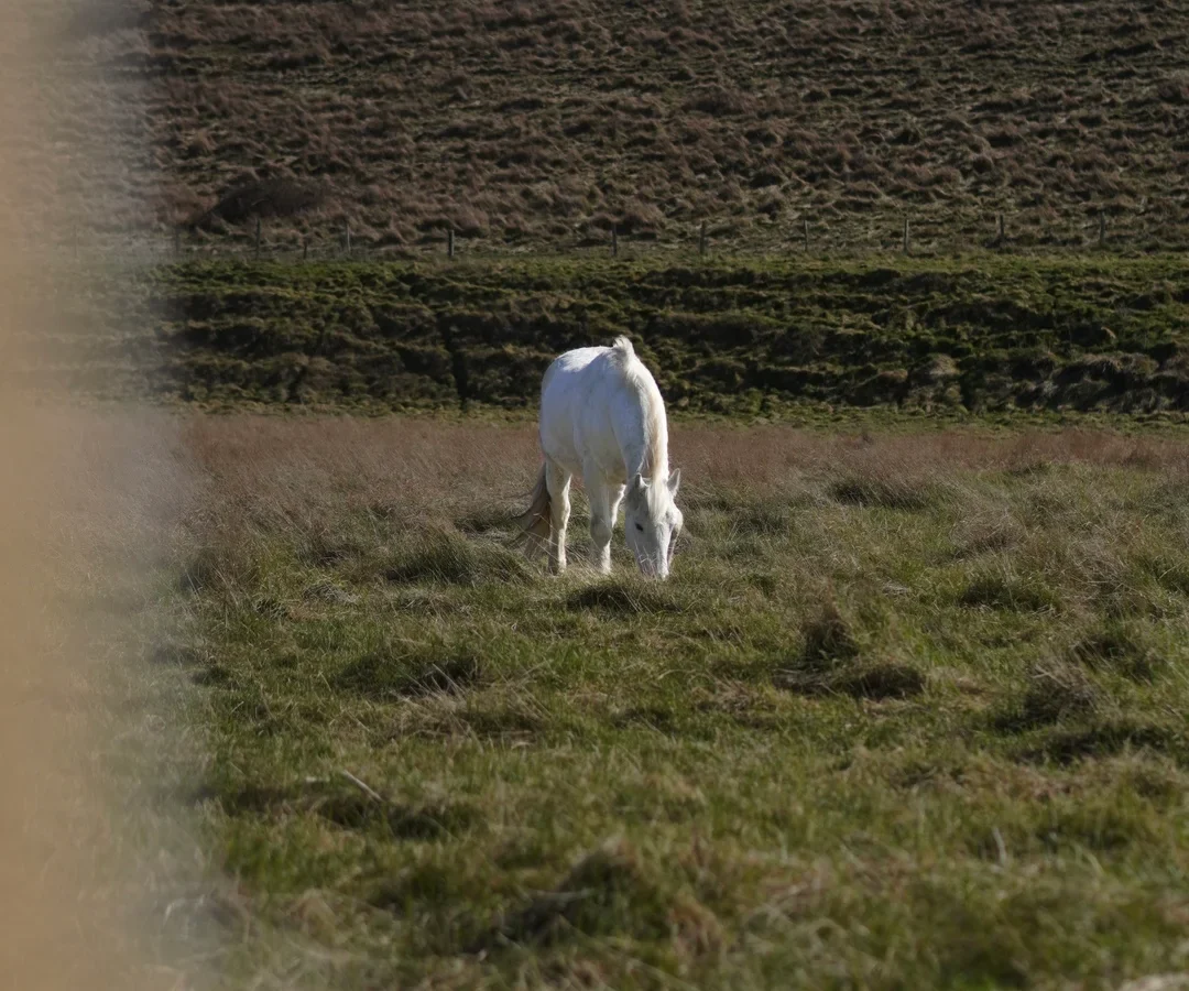 A2ACEB07-B271-47AC-83E0-76F5647A7055 A2ACEB07-B271-47AC-83E0-76F5647A7055