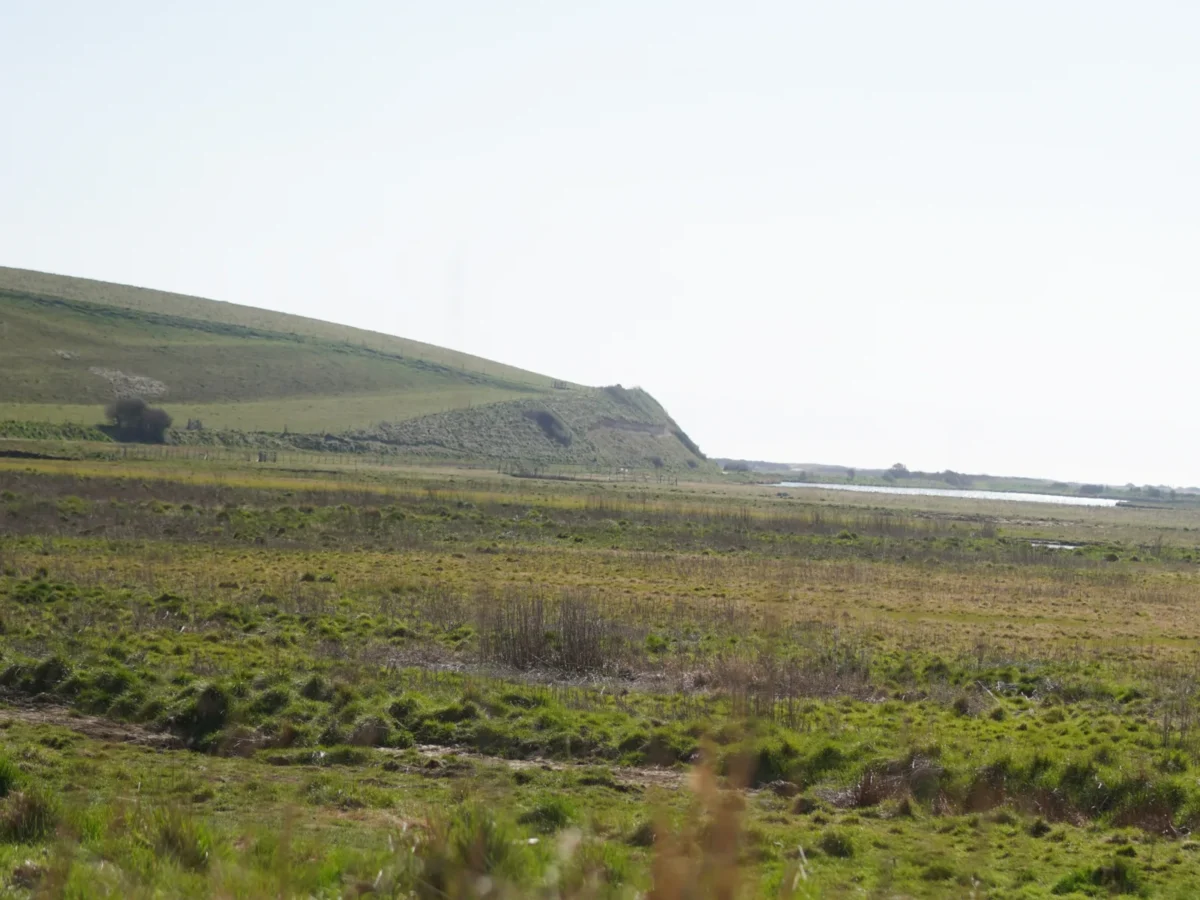 BEA11956-F31C-4B77-9ED1-DED87FC7F0FE-scaled BEA11956-F31C-4B77-9ED1-DED87FC7F0FE-scaled