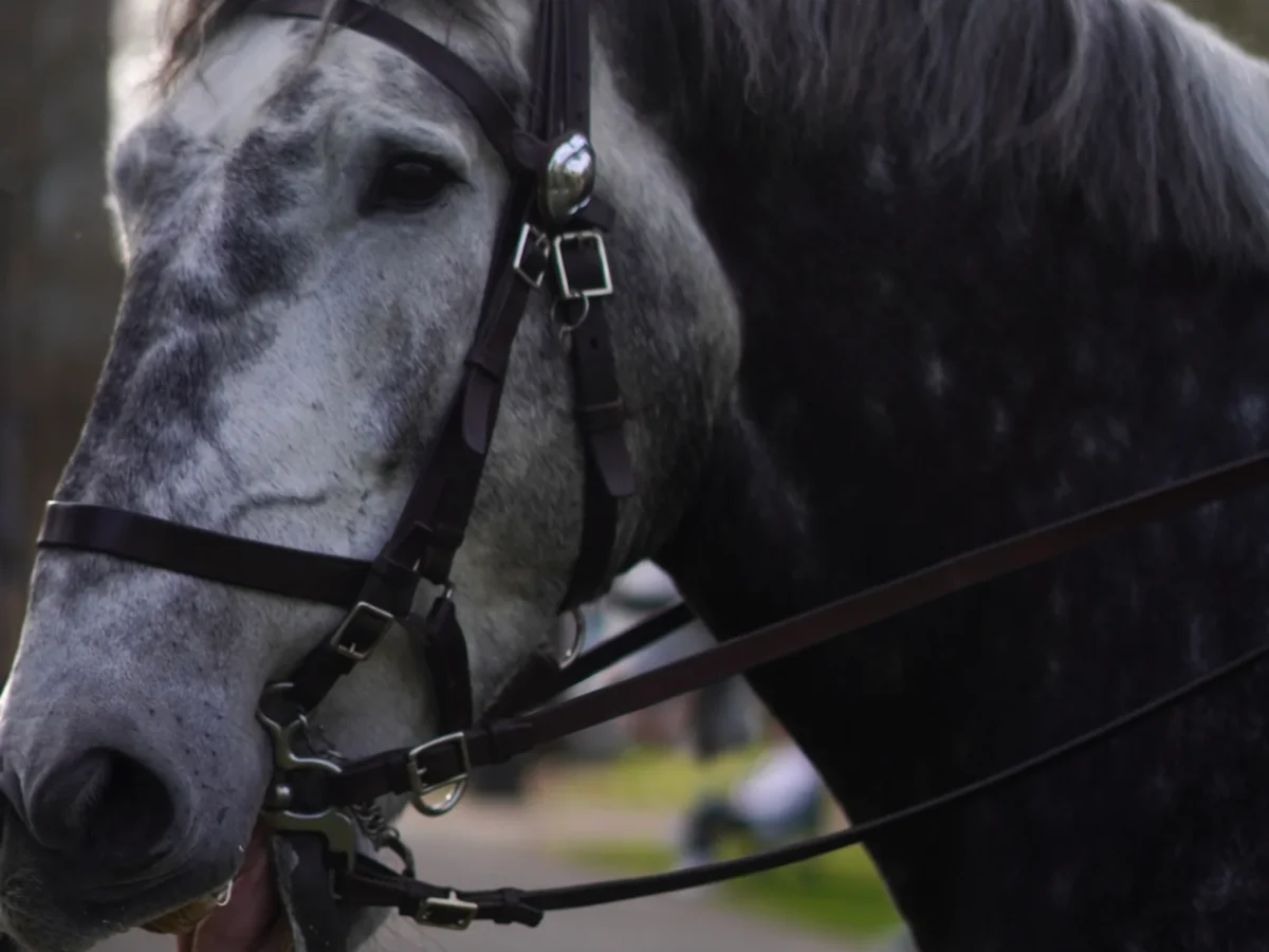 DSC01032-scaled DSC01032-scaled