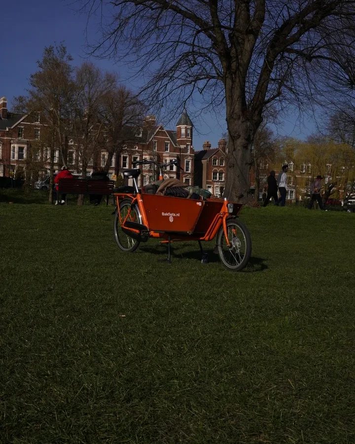 DSC08975-rotated DSC08975-rotated