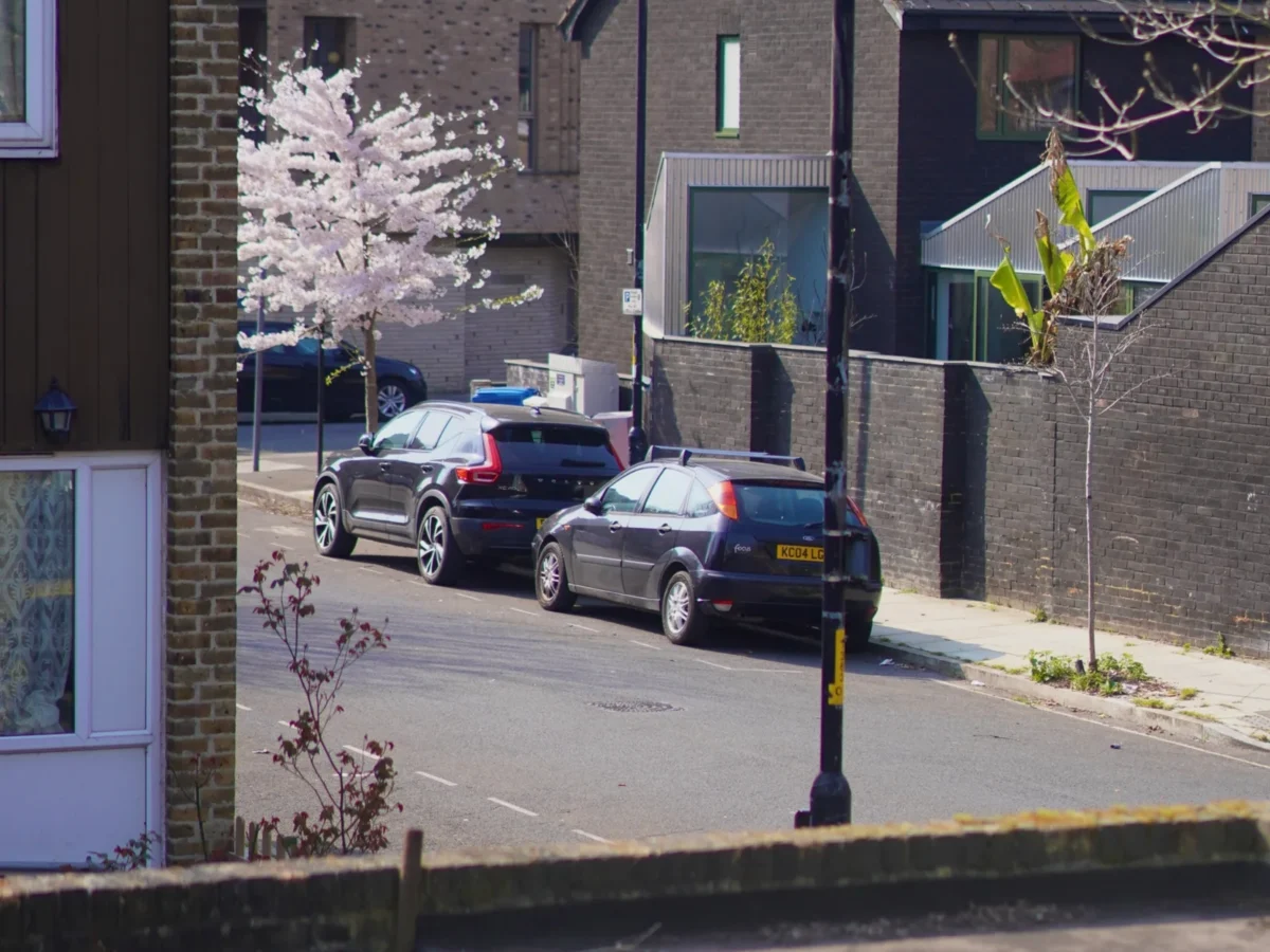 IMG_5636-scaled IMG_5636-scaled