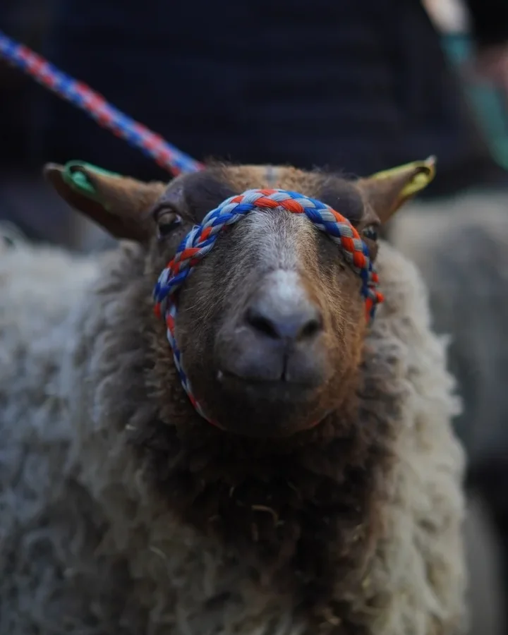 IMG_9673-rotated IMG_9673-rotated